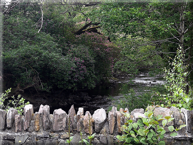 foto Parco di Killarney